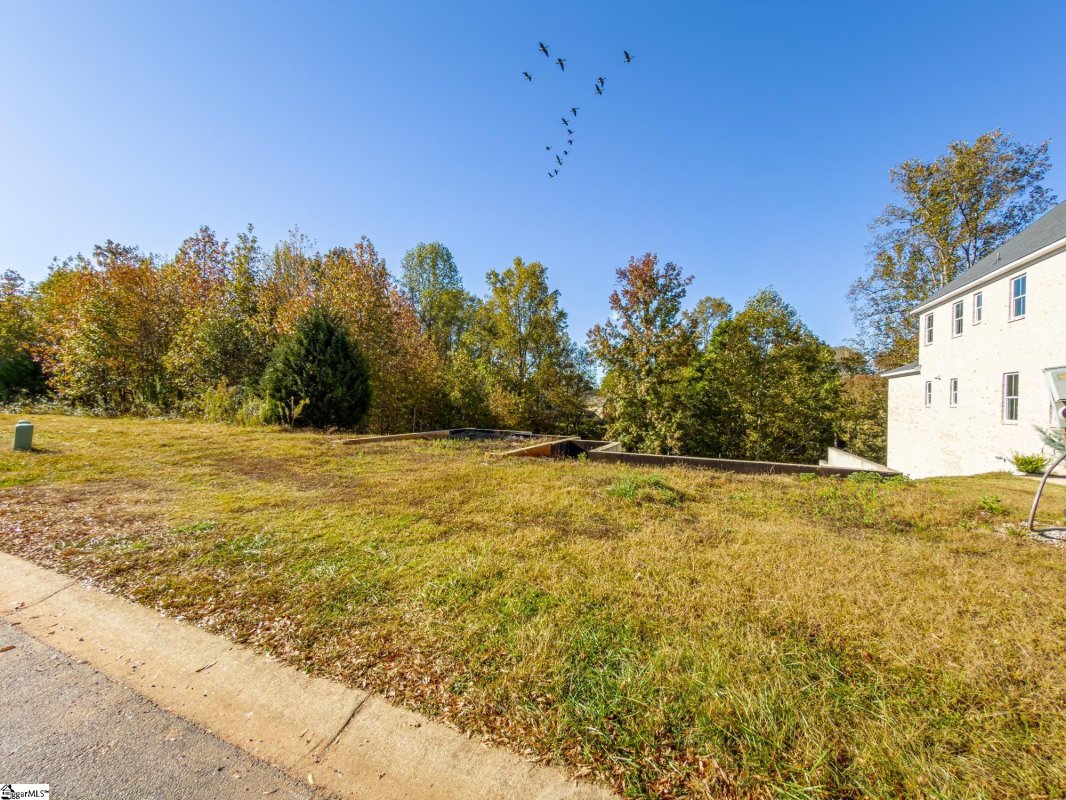 39 Park Vista Way