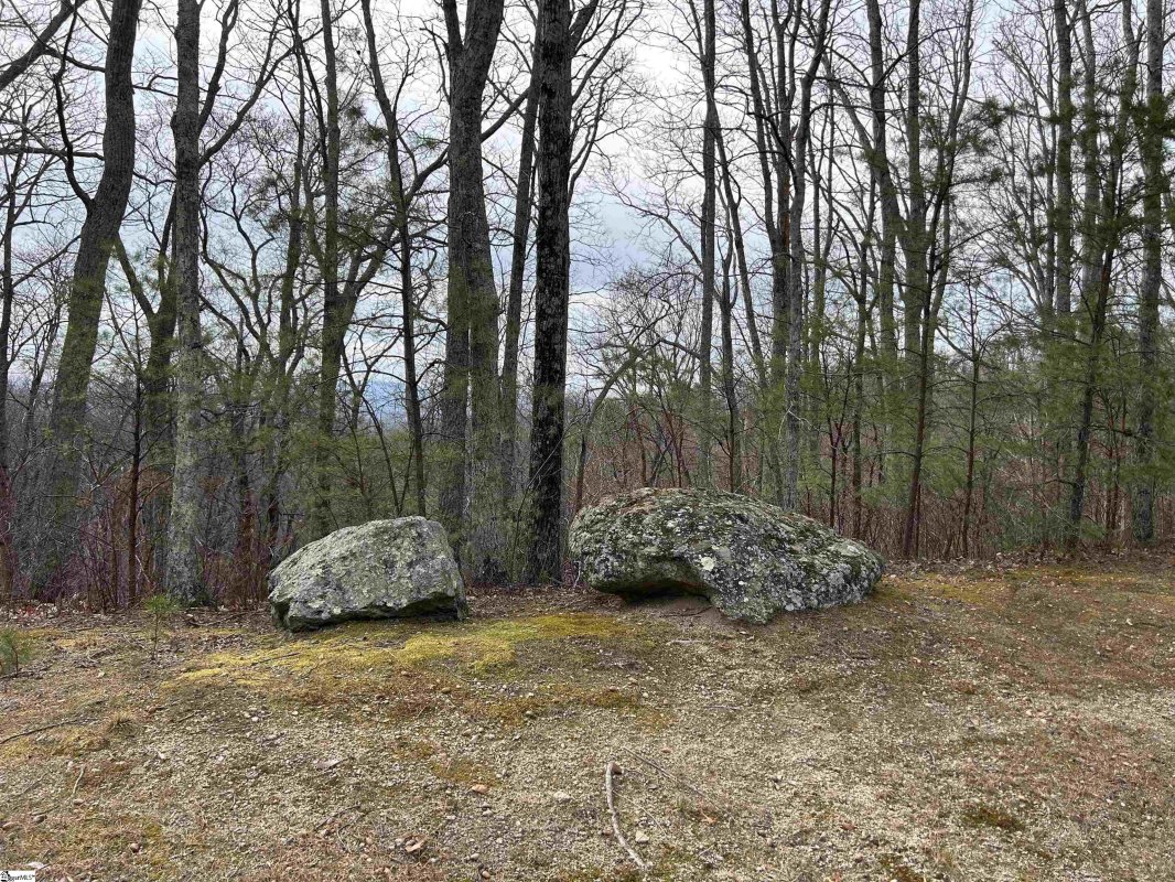 633 Plumley Summit Road