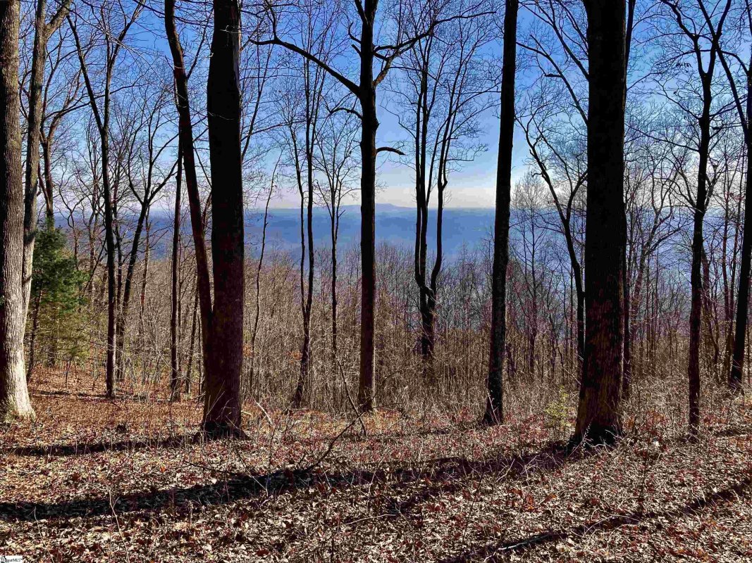 1000 Mountain Summit Road