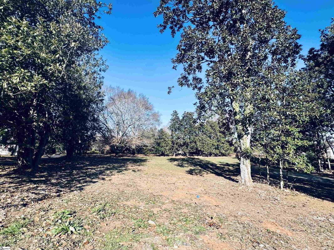 19 Forest View Drive Lot #1