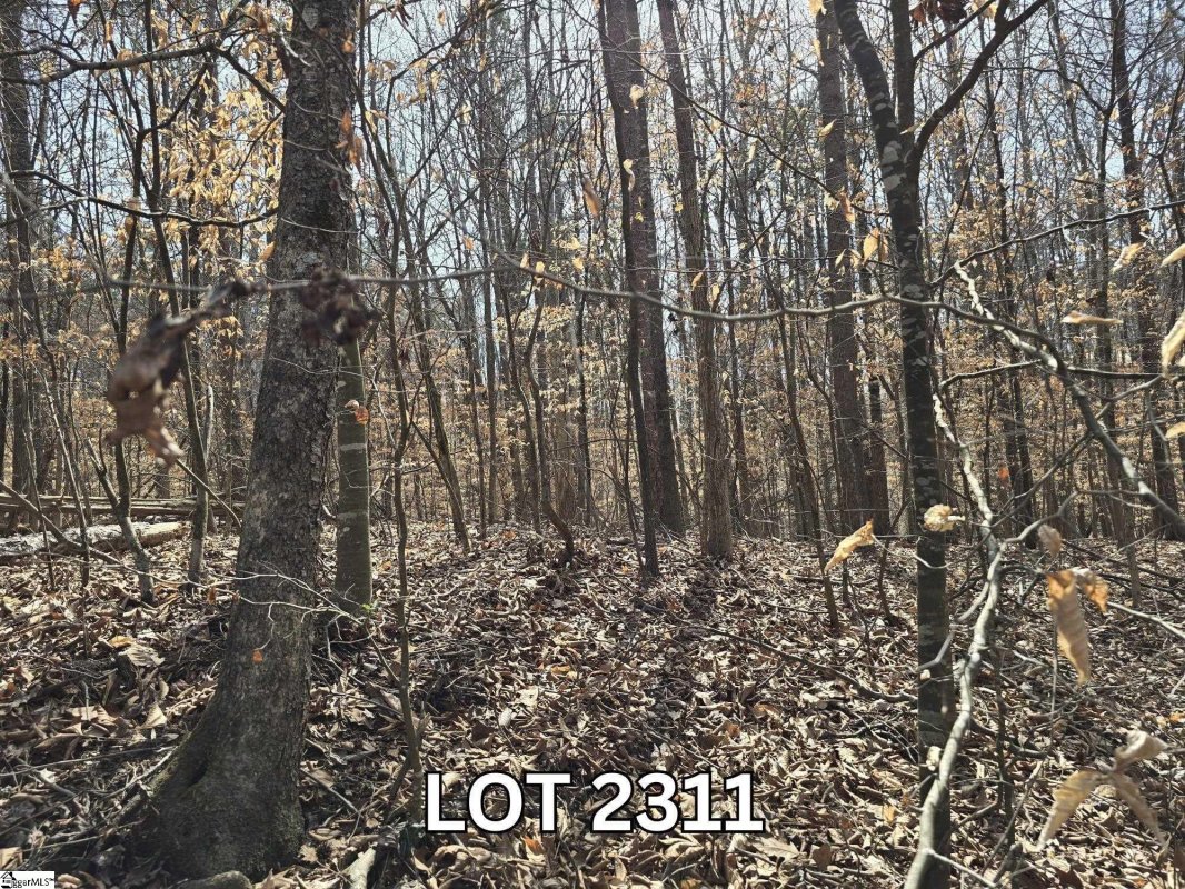 Lot 2311 S Hogan Drive