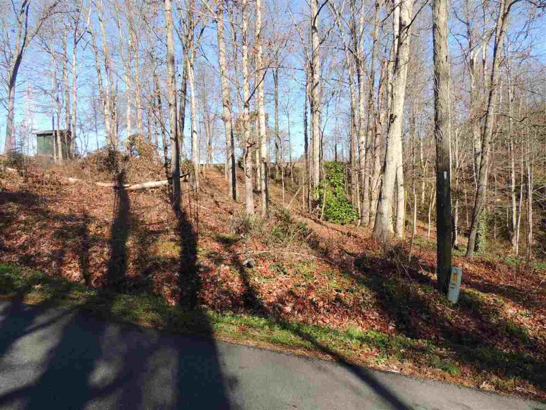0 Brookview Drive