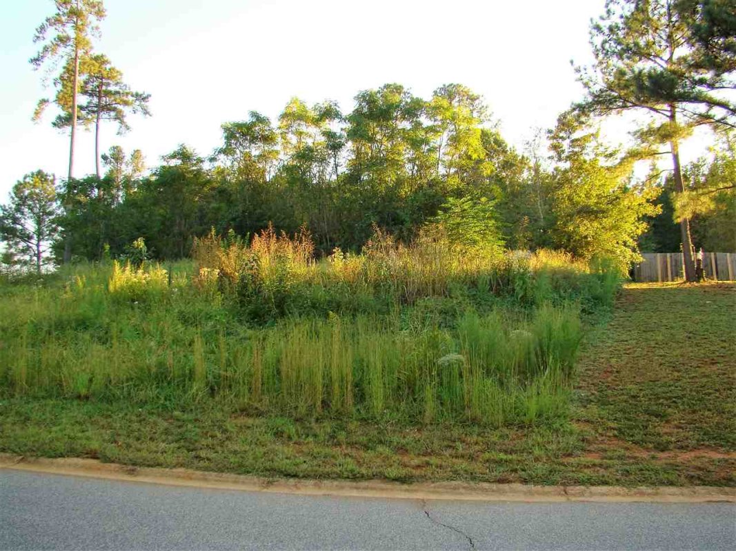 325 Country Oak Rd