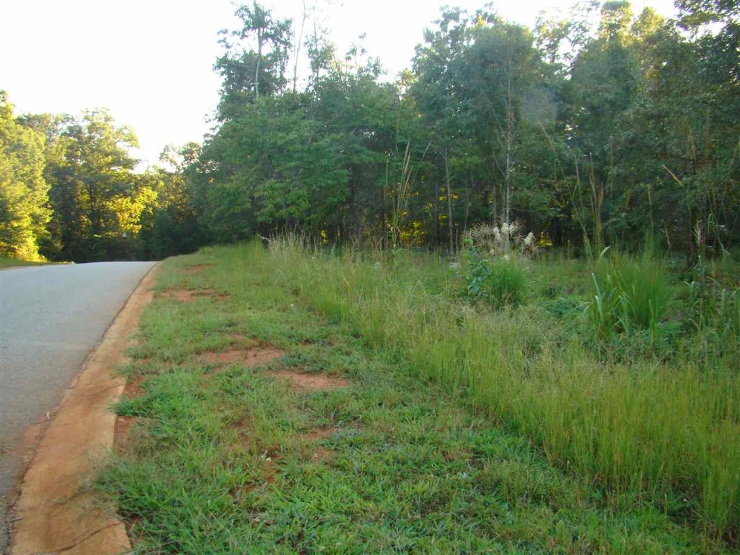 379 Country Oak Rd