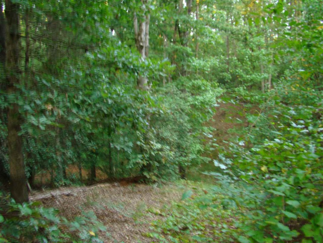 110 Quitman Pt