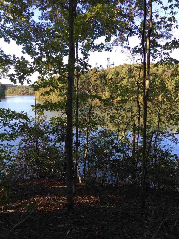 368 Country Oak Rd