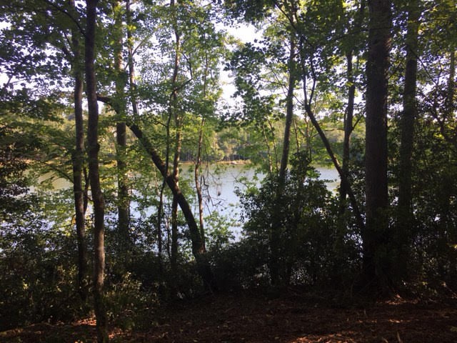 149 Quitman Pt