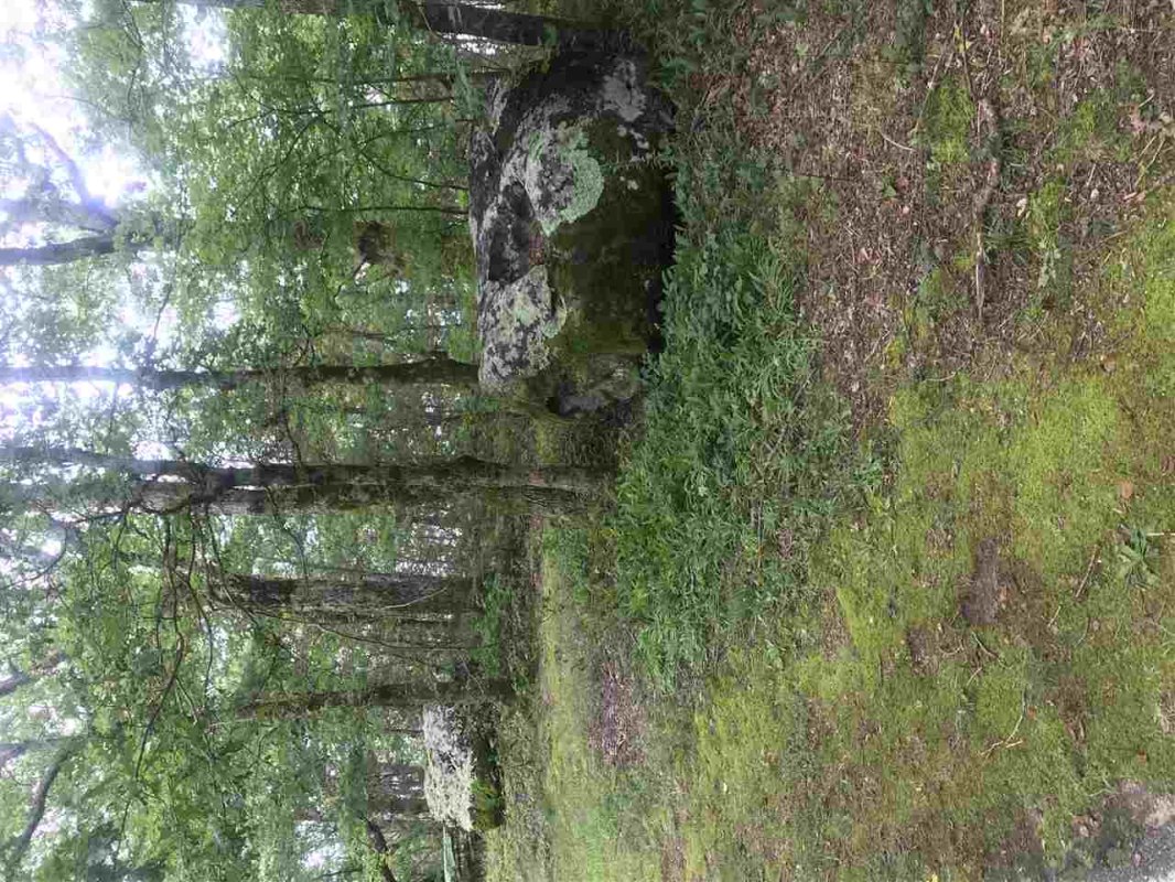 Lot 2 Rose Pink Trail