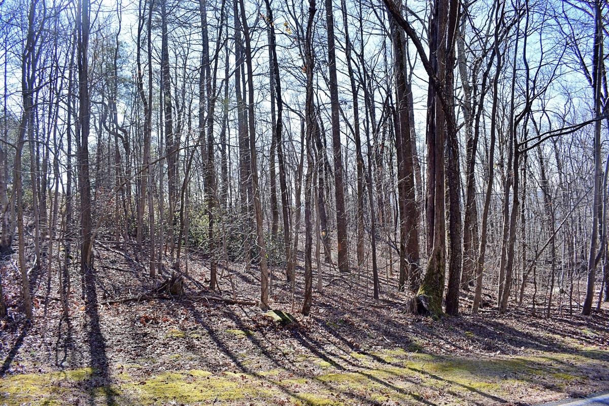 35 Granite Knob Way