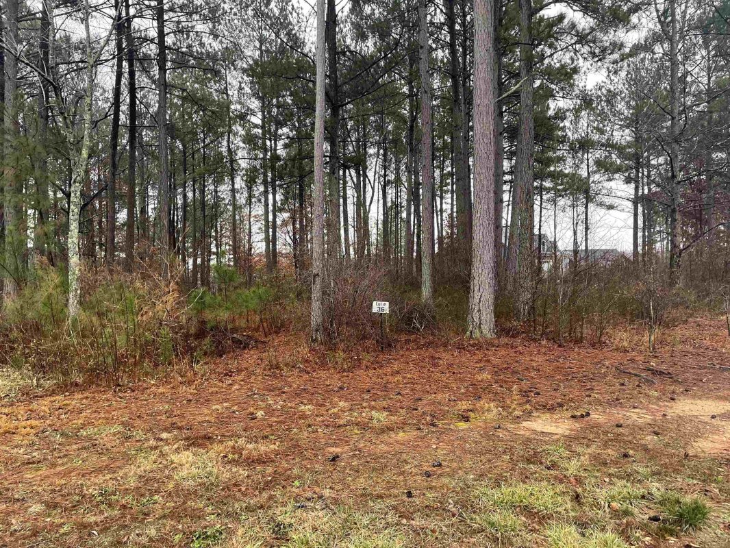 555 Canewood Ln.