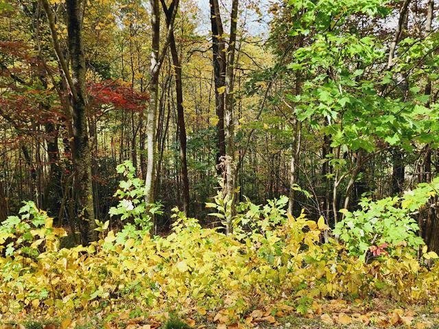 0 Glassy Ridge Road