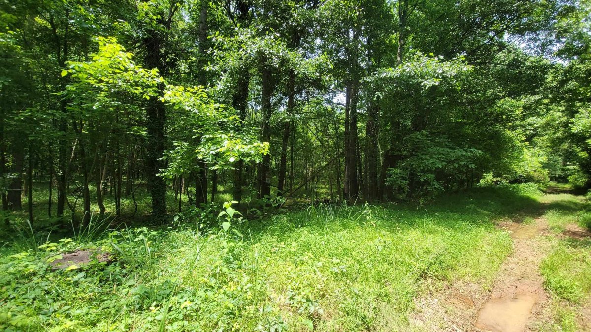 Woodshire Drive