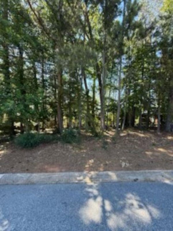 213 S Carleila Lake Way