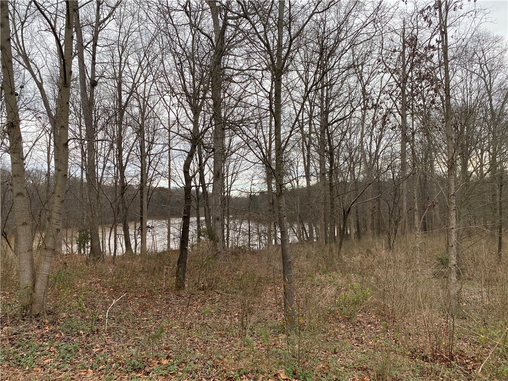 00 Arrowhead Lake Trail 16
