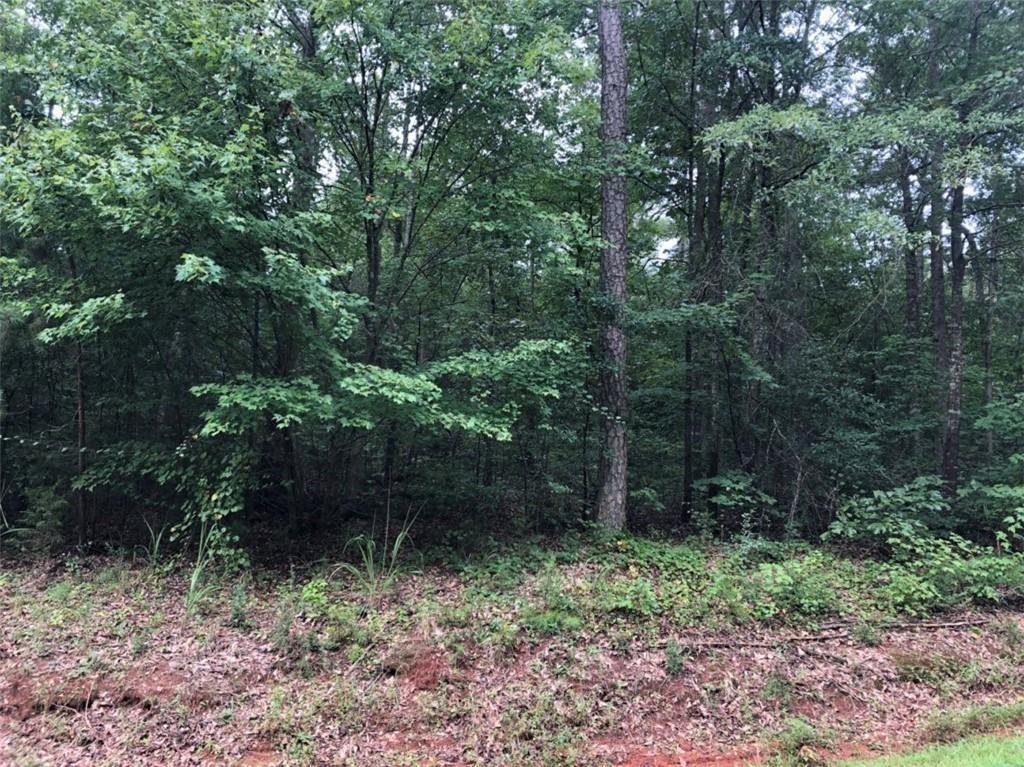 Lot 41 Moonlight Drive