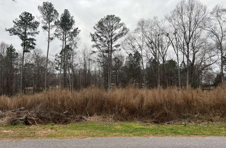 Lot36 Kingsboro Road