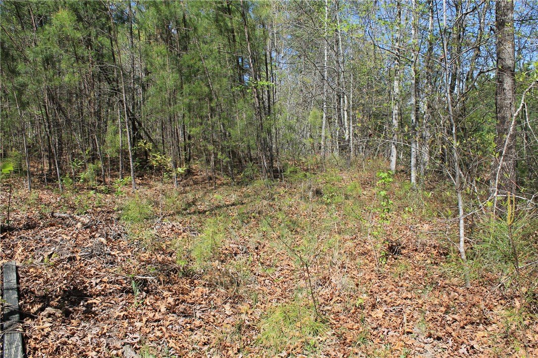 E26 Jocassee Ridge
