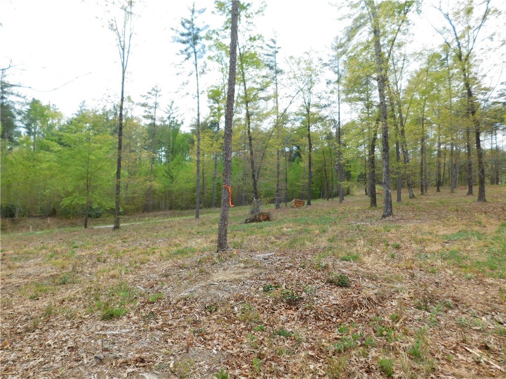 Lot 3 Old Chapman Bridge Road