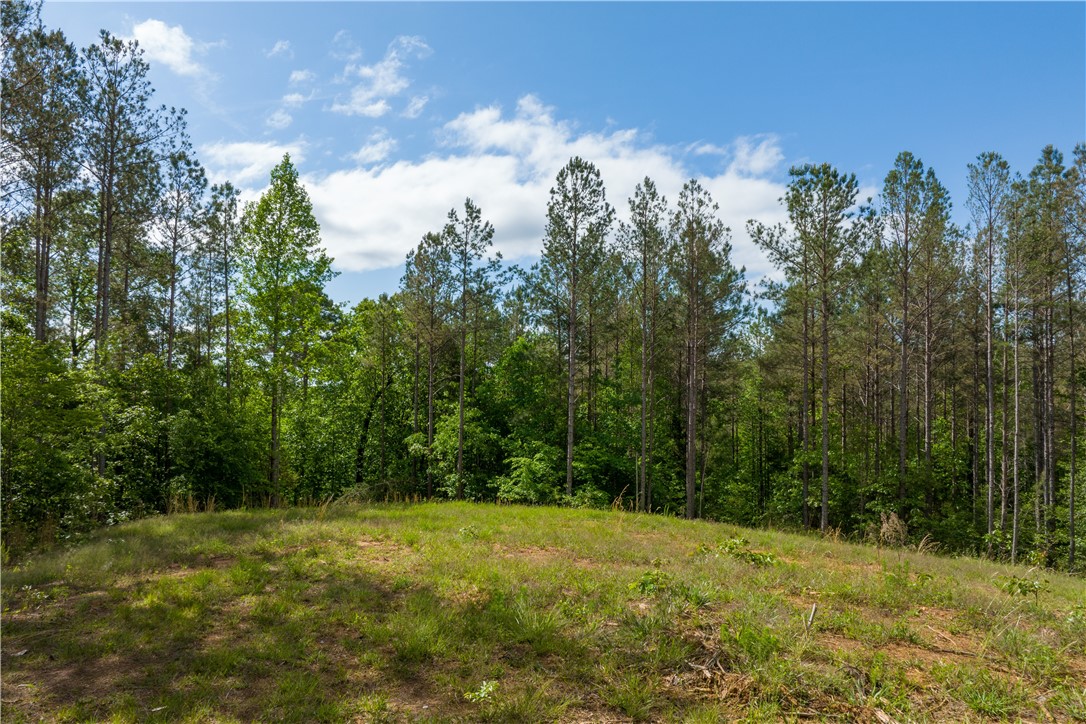 Lot 88 Peninsula Pines Drive