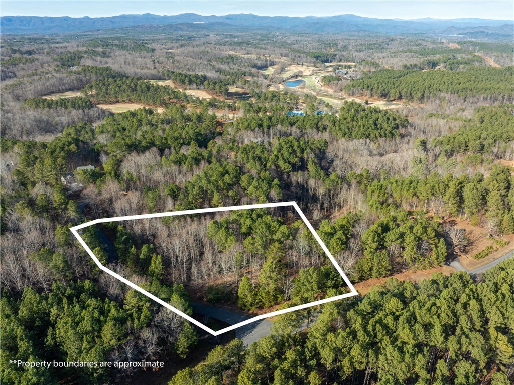 392 Cliffs South Parkway