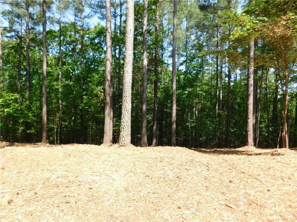 521 Brookgreen Trail