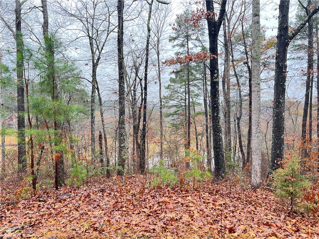 Lot 4 & 5 Hunters Trail