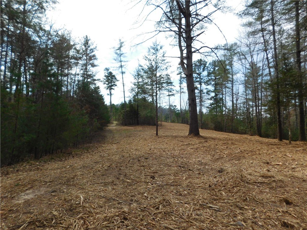 110 Horseback Trail