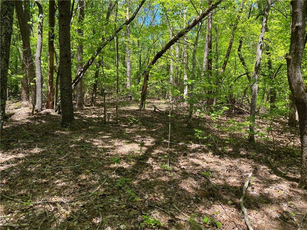 111 Bearpaw Trail