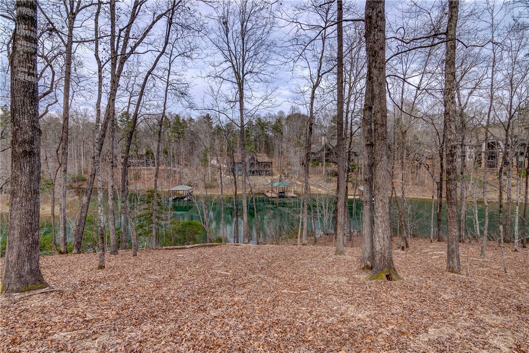 Lot 6 Grays Peak Drive