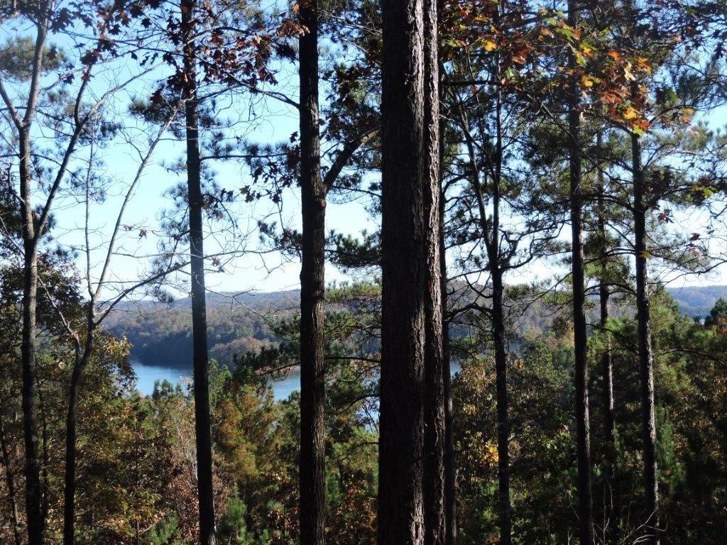 333 Long Cove Trail