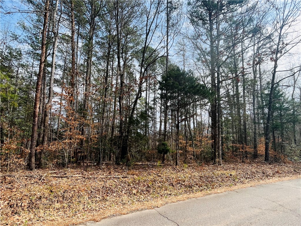 Lot 20 Wilbanks Road