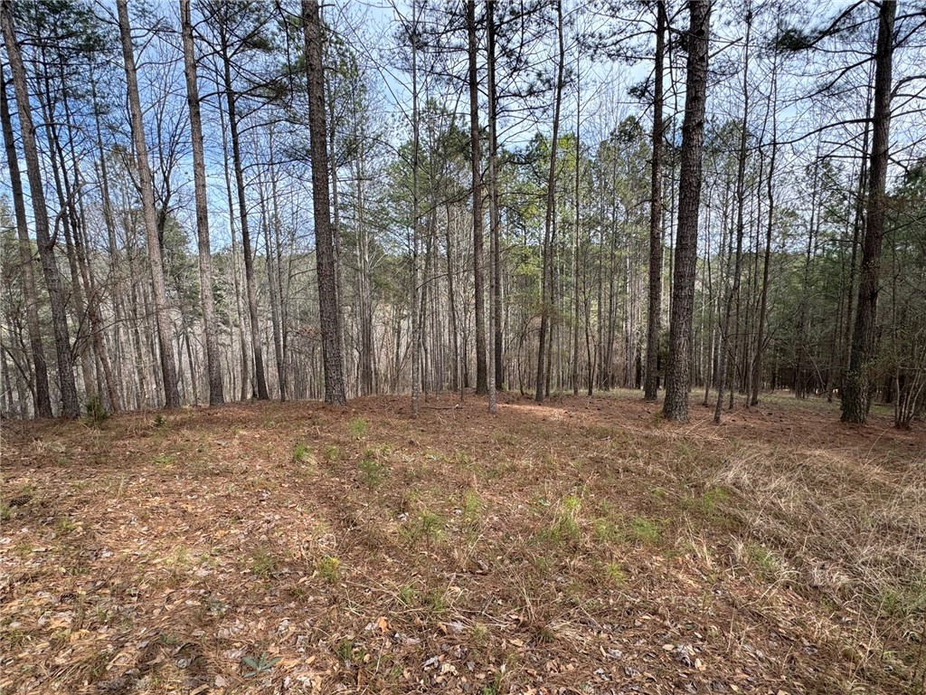 154 Creek Stone Court