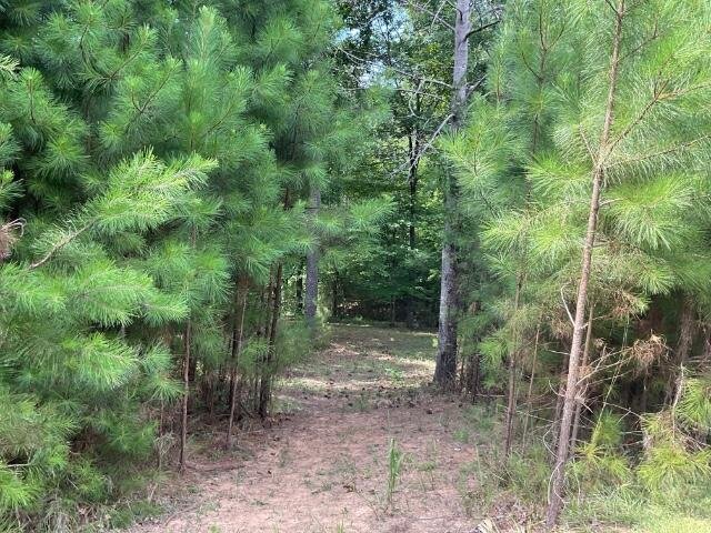 625 Cliffs Vista Parkway