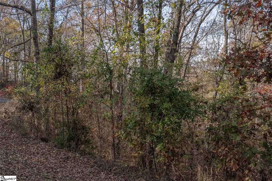 Lot 41 Overlook Drive