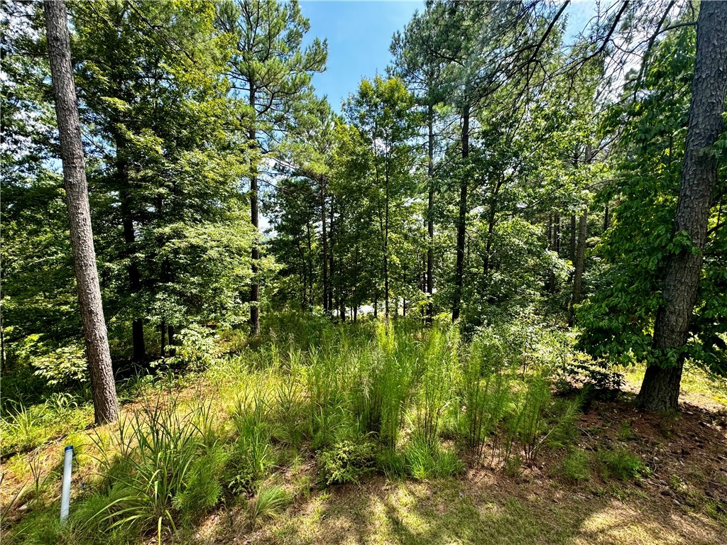 Lot 096 Scenic Crest Way