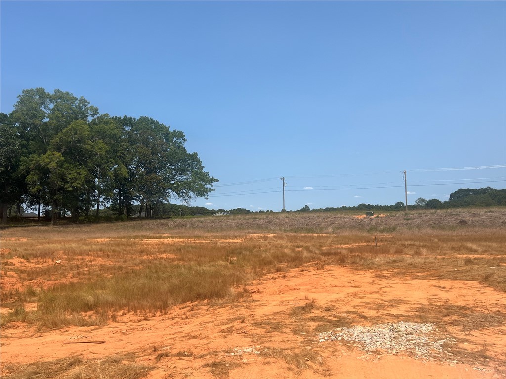 919 Flat Rock, Road Lot #3