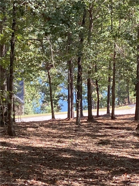 335 Long Cove Trail