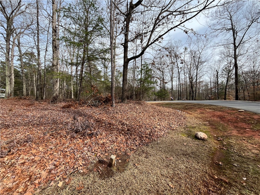 00 Pintail Road