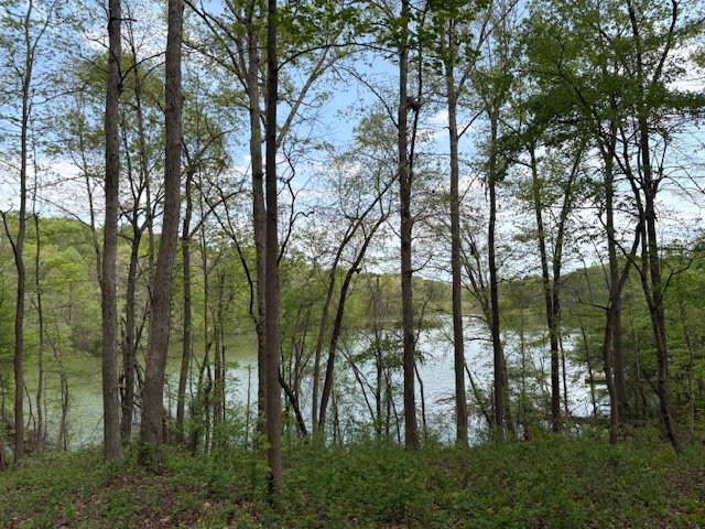 438 Arrowhead Lake Trail