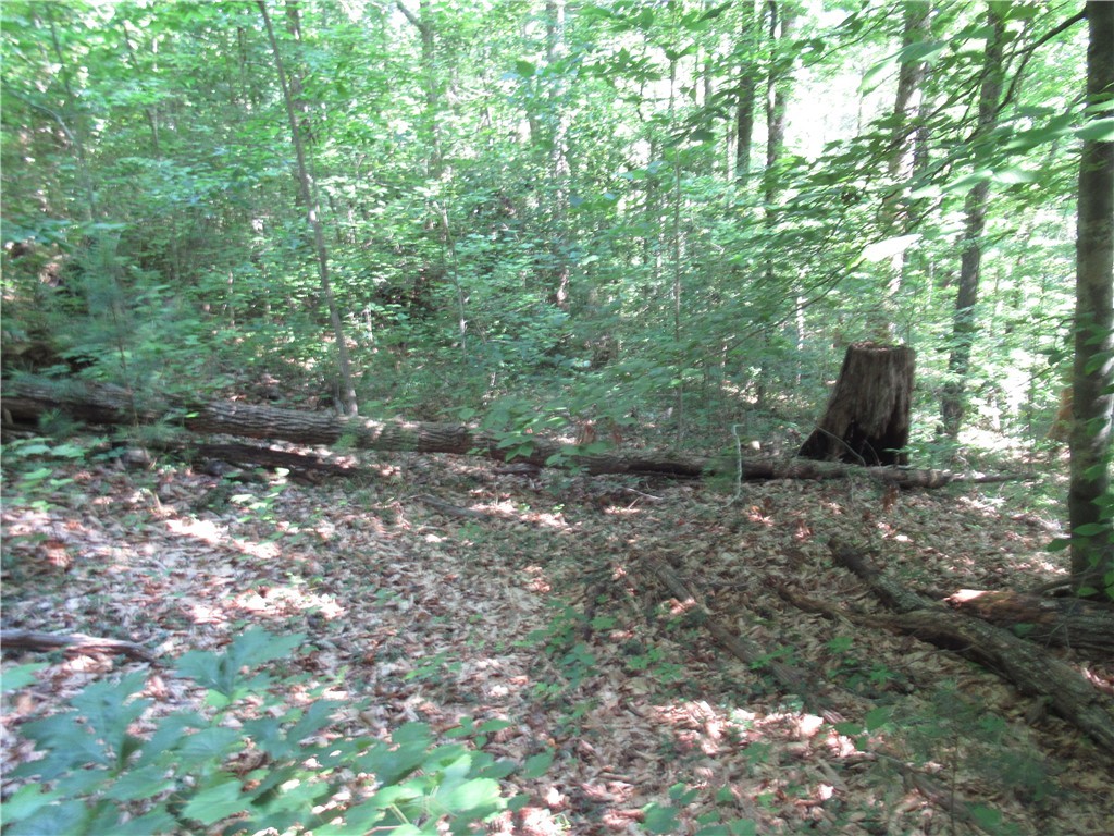 00 Gauley Falls Road