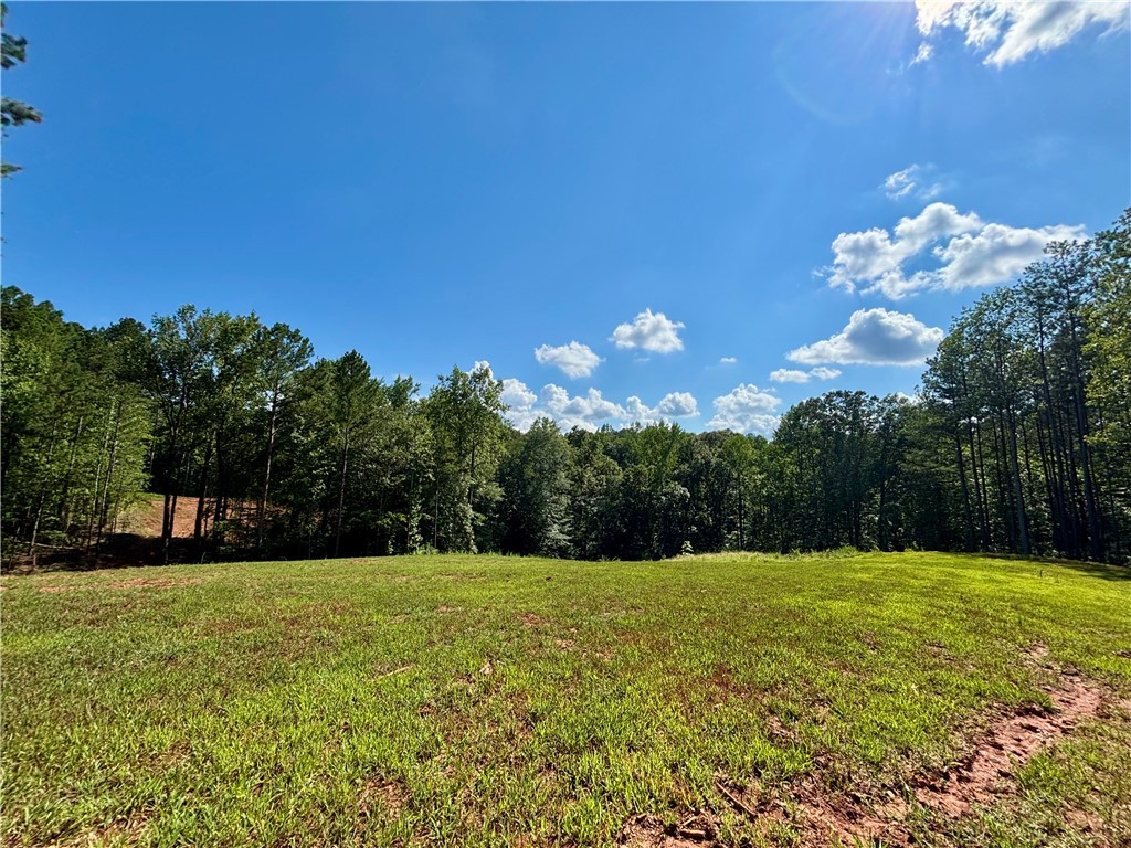 304 View South Trail