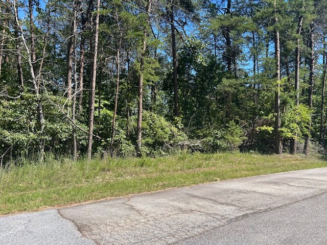 Lots 156 & 157 Beech Drive