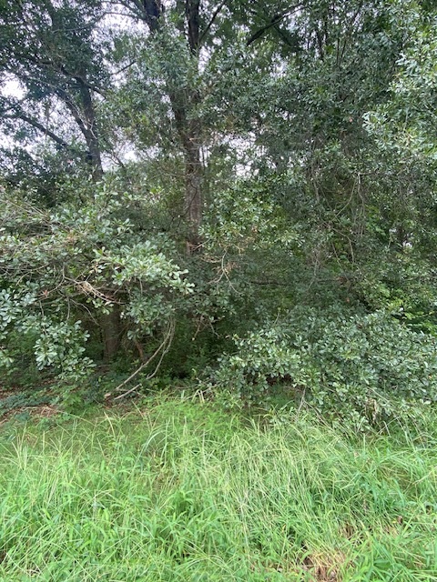 Lot 102 Grand Oak Circle