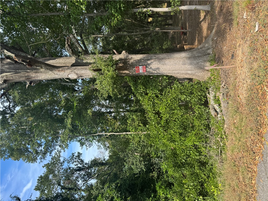 404 Azalea Drive
