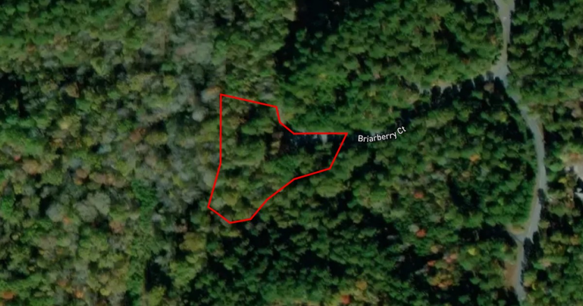 86 Briarberry Court