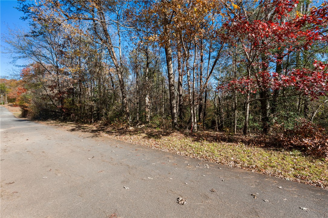 00 Shady Lane
