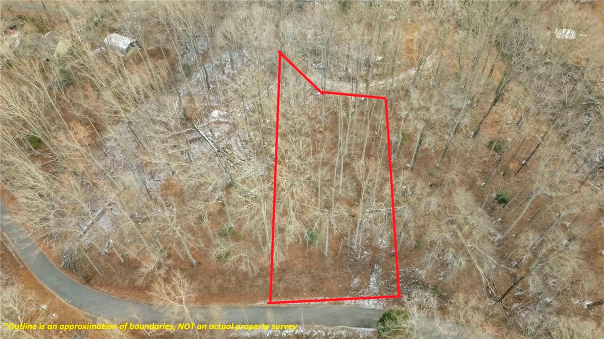 29 Forest Drive