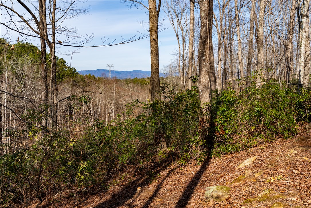 Lot 118 Pine Harbor Way