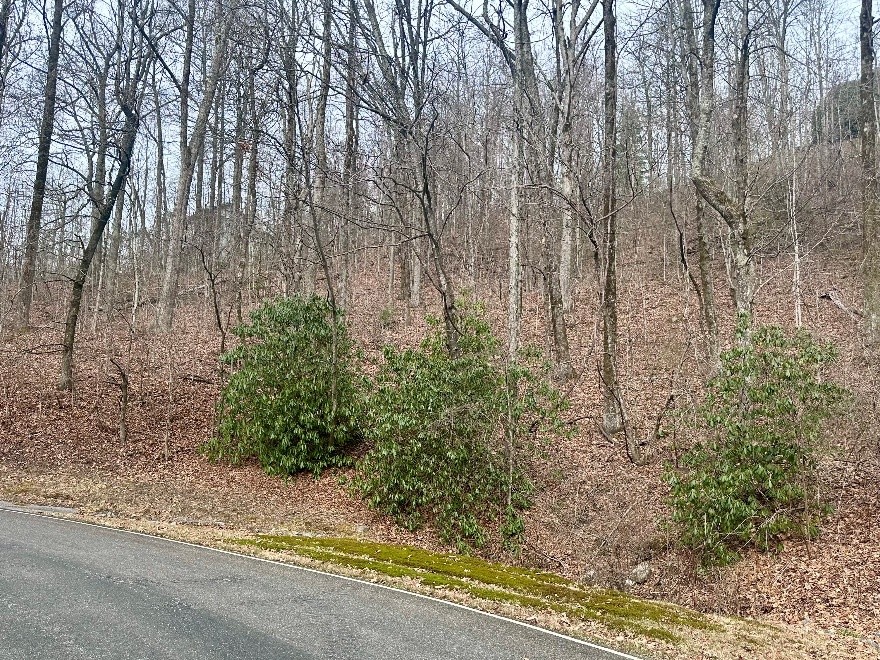 00 Indian Pipe Trail