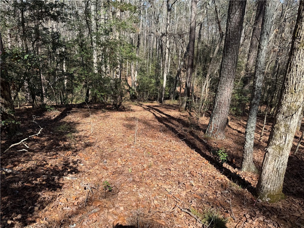 00 Golden Hickory Drive